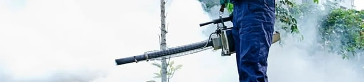 Pest control technician fogging an outdoor area for insect control in Lakeland, FL