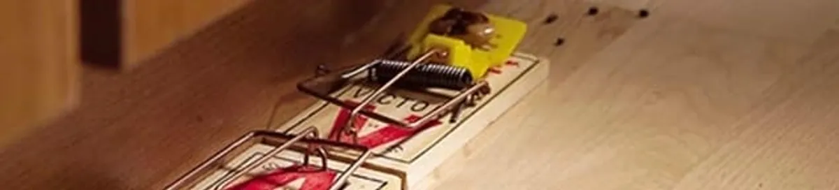 Rodent trap set indoors for rodent control and prevention in Lakeland, FL